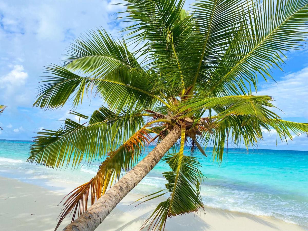מלון דהיגורה Tme Retreats Dhigurah מראה חיצוני תמונה