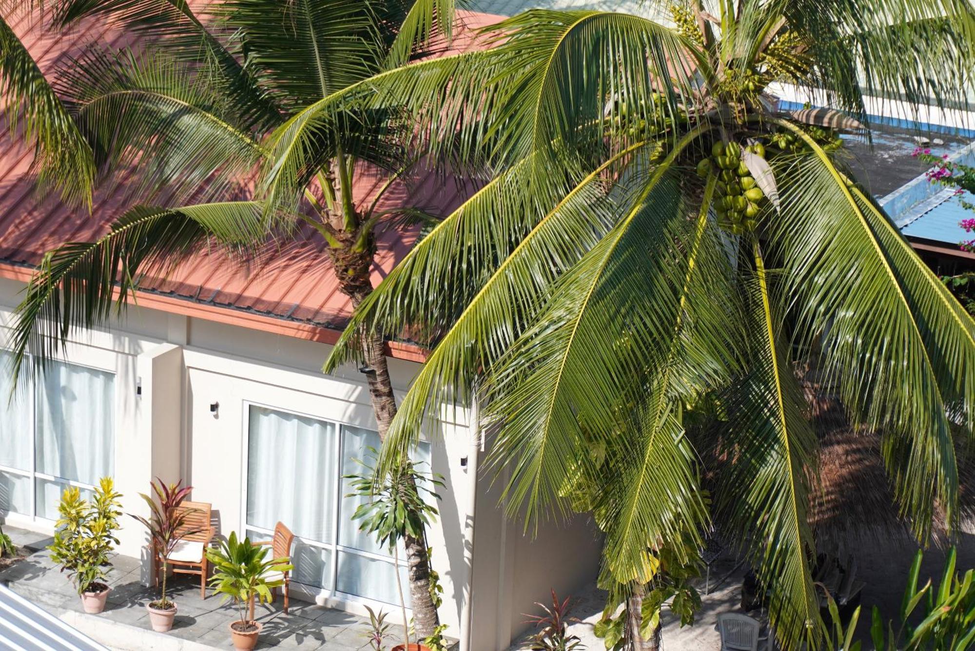 מלון דהיגורה Tme Retreats Dhigurah מראה חיצוני תמונה